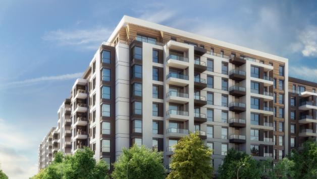 Central Garden - Novogradnja Palilula 